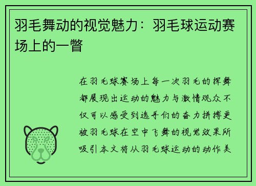羽毛舞动的视觉魅力：羽毛球运动赛场上的一瞥